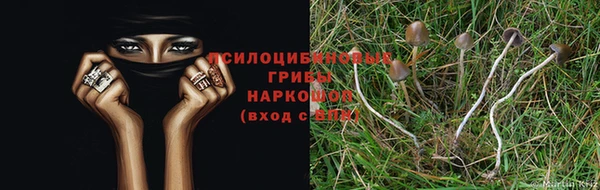 2c-b Аркадак